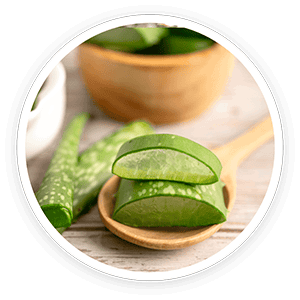 Kerassentials Ingredient Aloe Vera