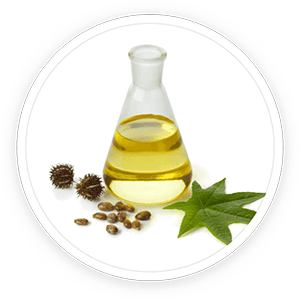 Kerassentials Ingredient Undecylenic Acid